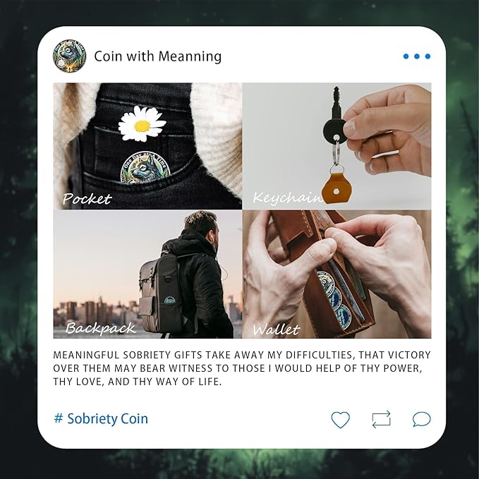 One Day at a Time 11 Year Sobriety Coin - Recovery Aurora Forest Wolf AA Coins - Addiction NA AA Chips and Medallions - Celebrate 1-30 Living Clean Narcotics Alcoholics Anonymous Gifts for Men Women