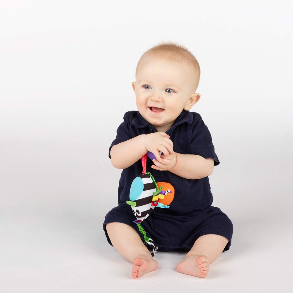 Sassy Boppin’ Birdie | Developmental Plush Toy for Early Learning | High Contrast | Attaches to Baby Gear for Travel | for Ages Newborn and Up (80660)