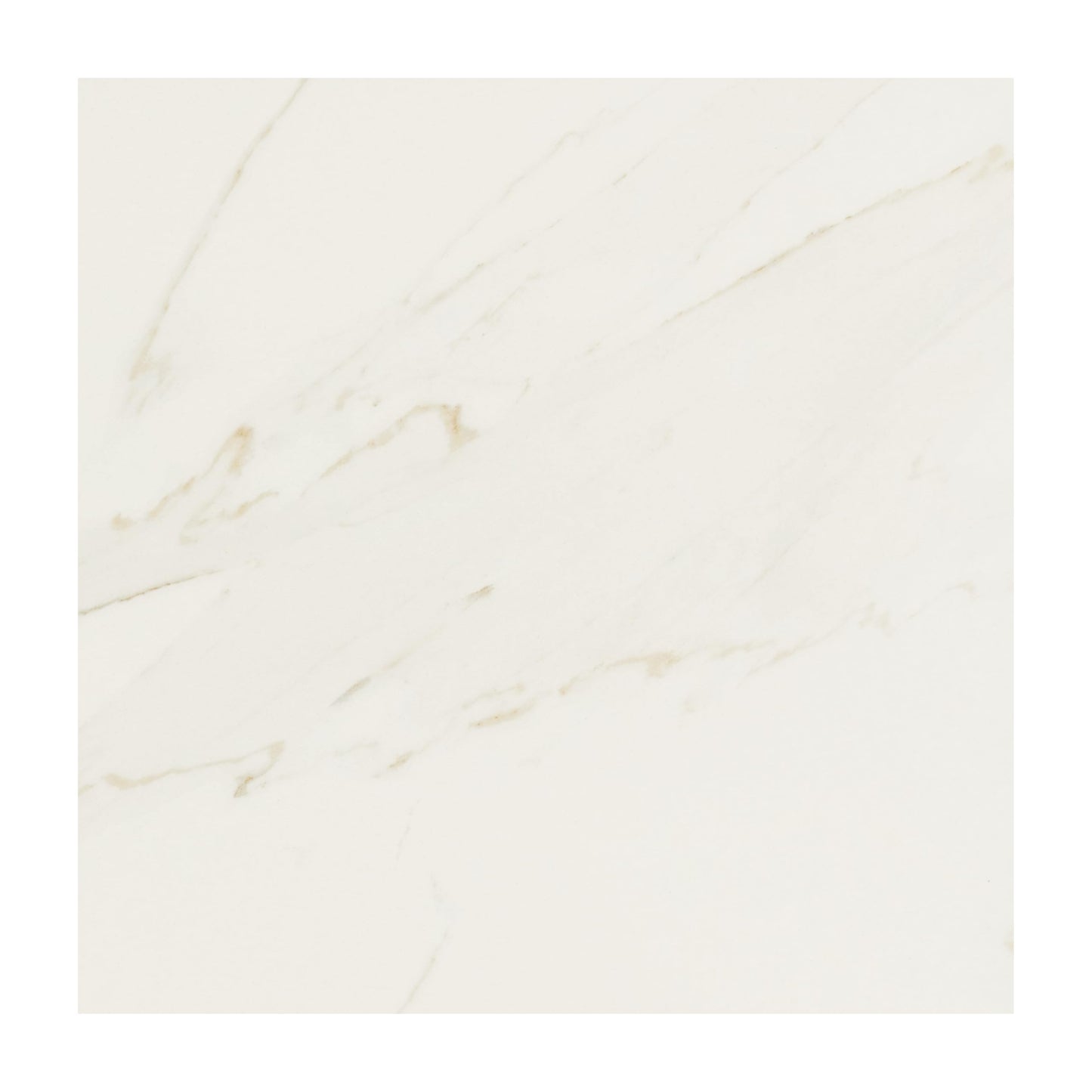 Daltile Florentine 12" X 12" Glazed Porcelain Floor Tile in Carrara (13 PC Per Carton) (12.22 SQFT Per Carton)