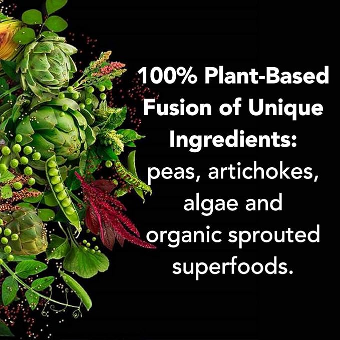 PlantFusion Complete Vegan Protein Powder - Plant Based Protein Powder With BCAAs, Digestive Enzymes and Pea Protein - Keto, Gluten Free, Soy Free, Non-Dairy, No Sugar, Non-GMO - Vanilla Pack of 12