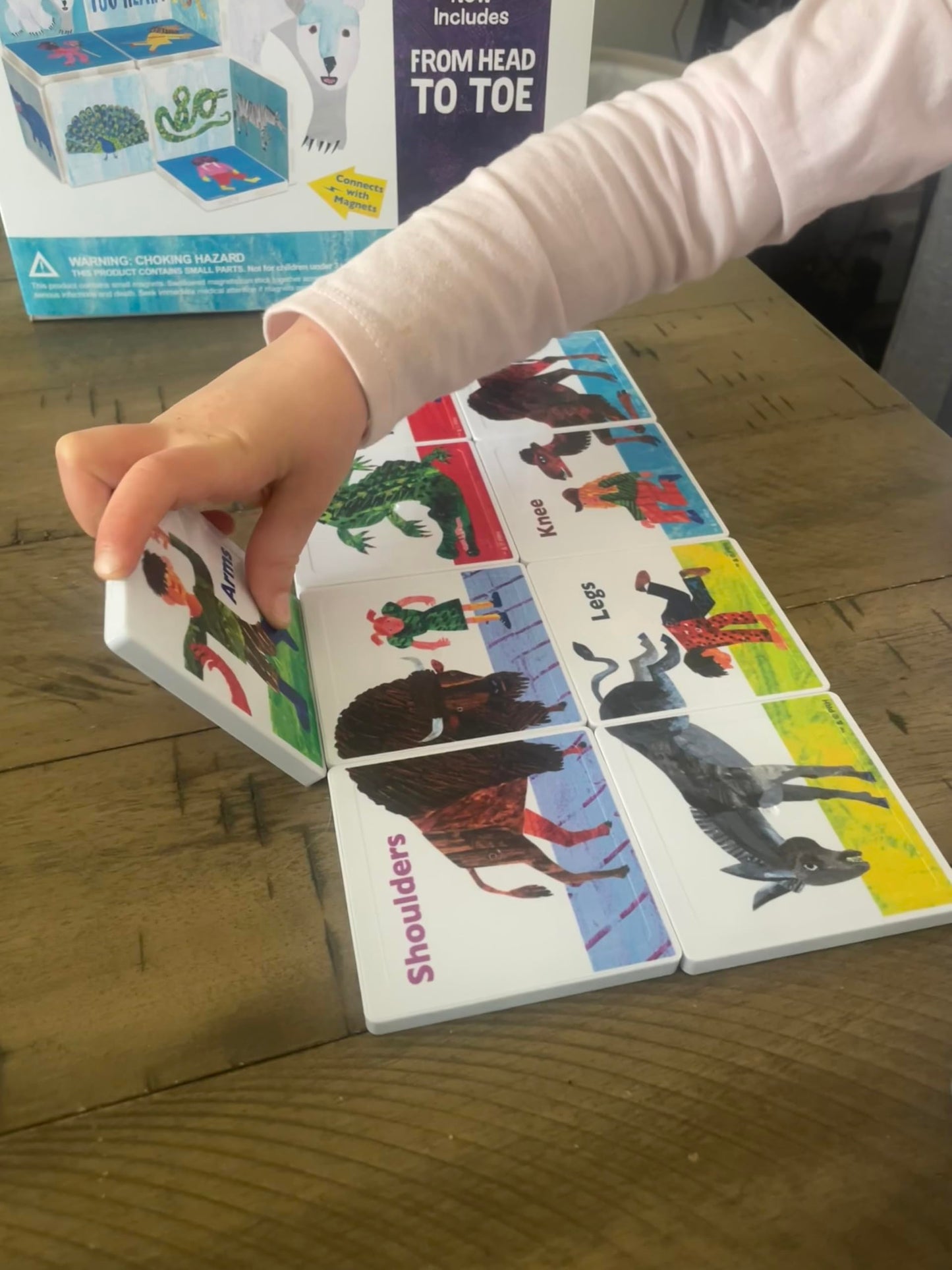 CreateOn Eric Carle Polar Bear with Head to Toe Bonus Set Magnetic Tiles, Building Set for Kids, Magnetic Building Toys for Kids, STEM Toys for Boys and Girls Ages 3+, 24 Piece