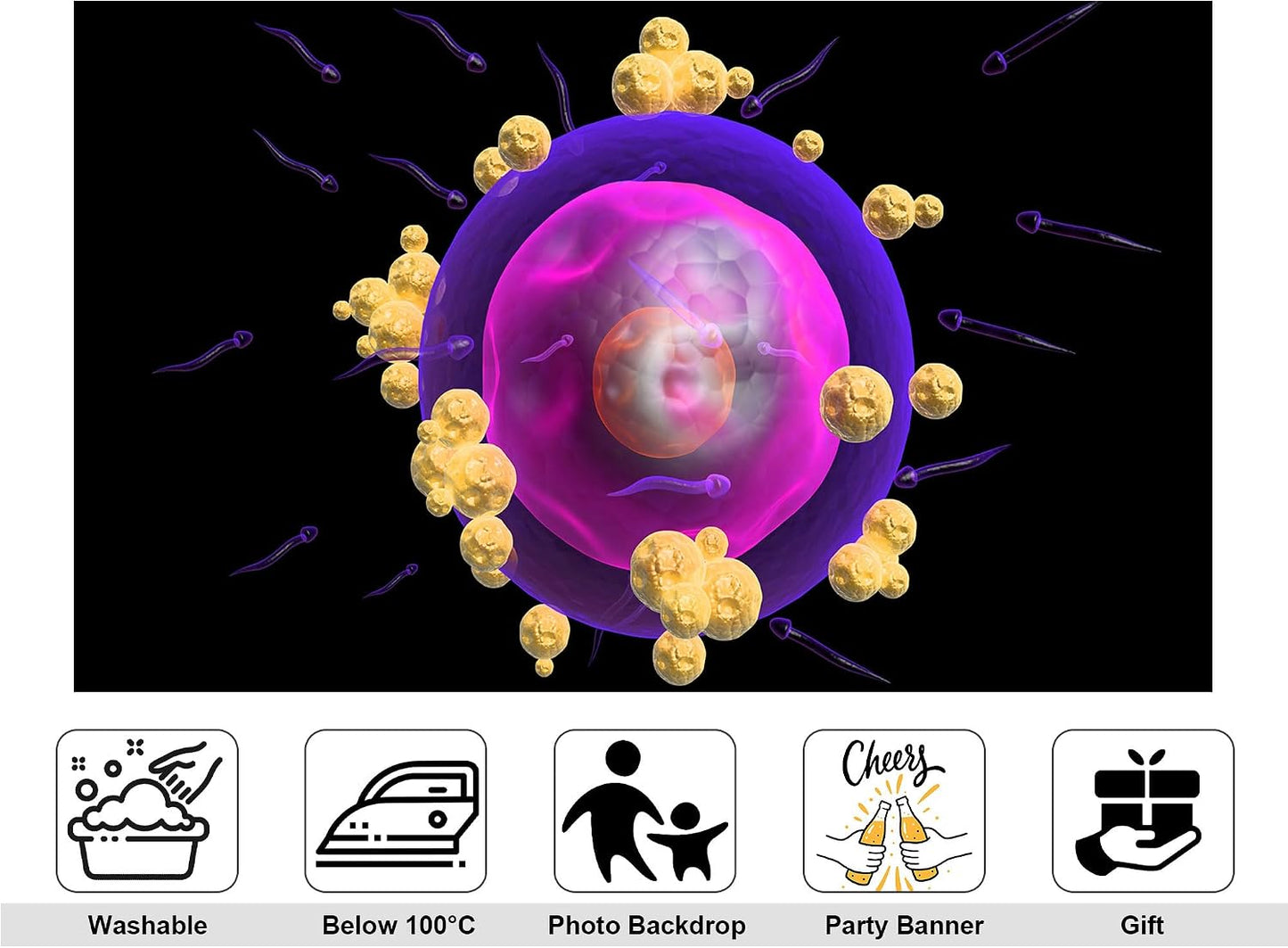 KeyWork 8x5ft Human Egg Cell Fertilization Backdrop Reproductive Science Photography Background for Health Fair