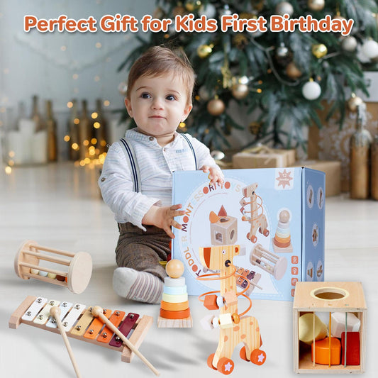Smartwo Wooden Montessori Toys for 6-12 Months,Montessori Baby Blocks Toy for 6-12-18 Months,Shape Sorting,Xylophone,Development Toys for Girls Boys Birthday Chiristmas Gifts