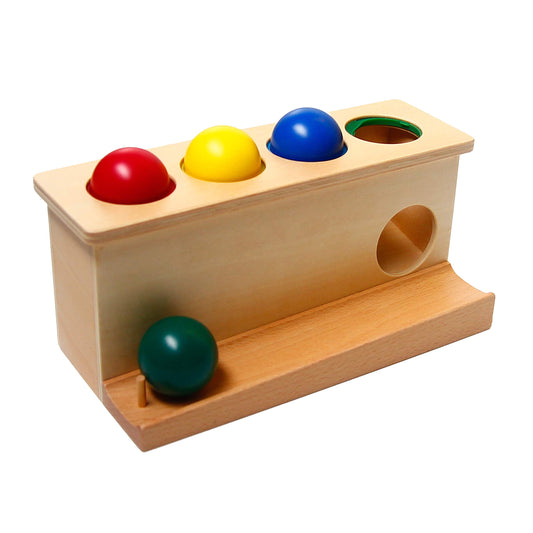 LEADER JOY Montessori Toddlers Wooden Push Ball Toys Baby Preschoolers Toys Push Toys Multicolored