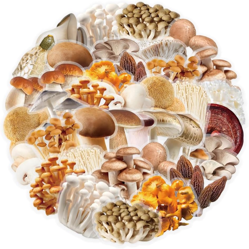 Mekycro 50 Pack Mushroom Vinyl Stickers PCS, Botanical Aesthetic Waterproof PET Die-Cut Fungi Sticker for Journal