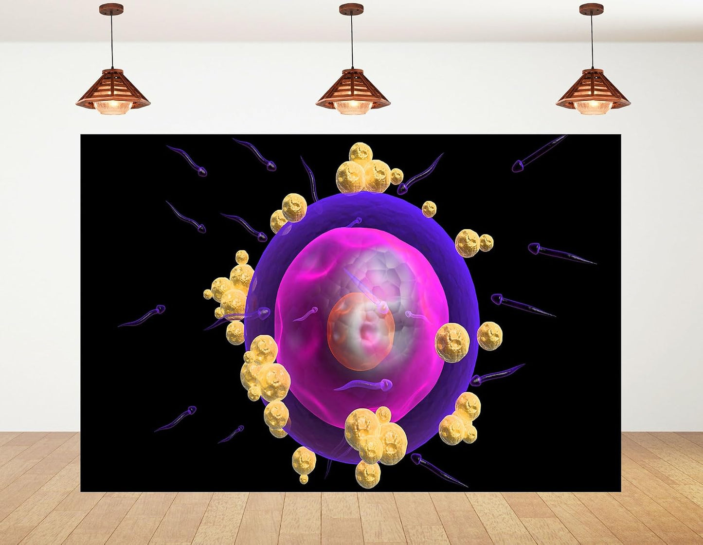 KeyWork 7x5ft Human Egg Cell Fertilization Backdrop Reproductive Science Photography Background for Health Fair
