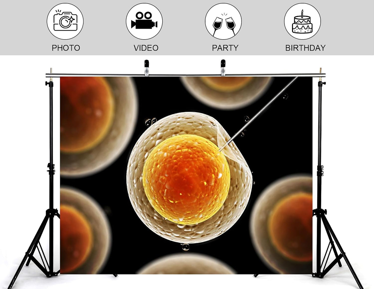 KeyWork 5x4ft Egg Cell Fertilization Backdrop Reproductive Medical Photography Background for Science Fair Health Event