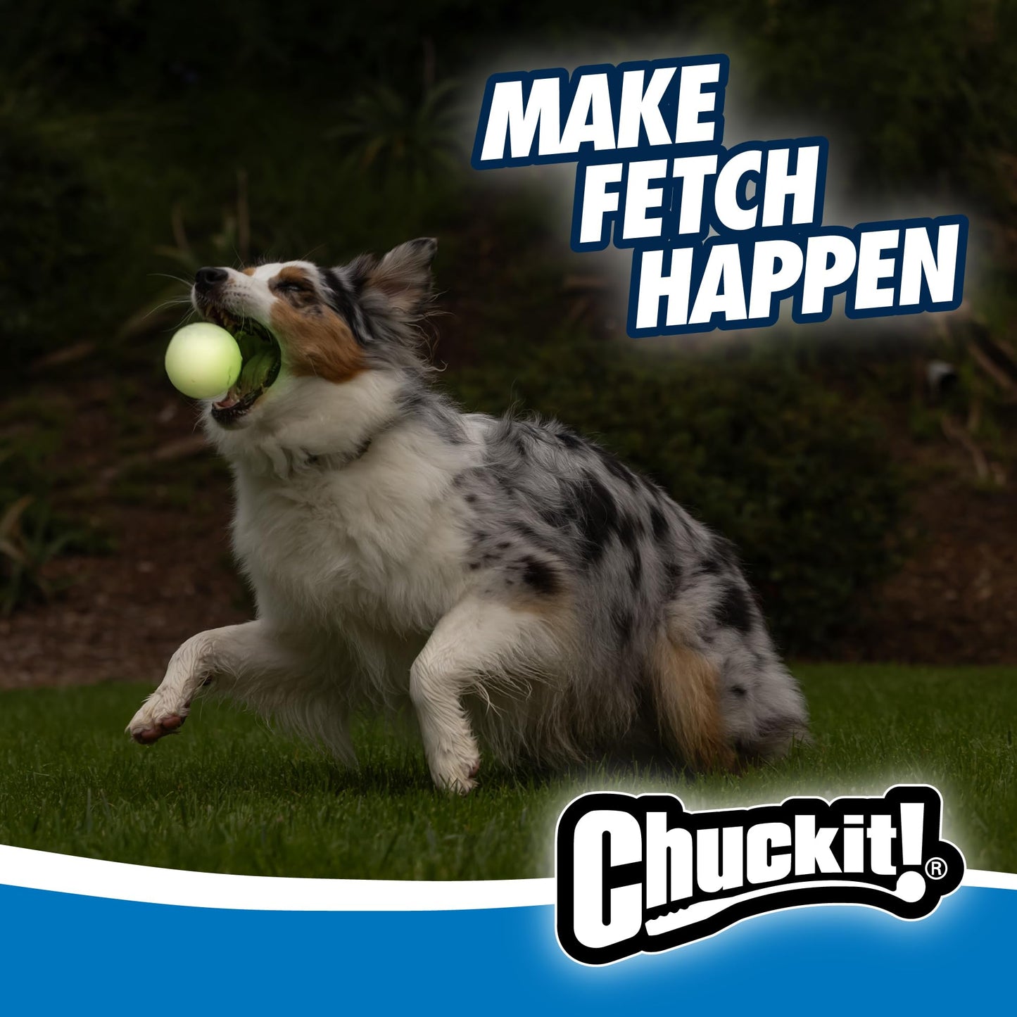 Chuckit! Glow in the Dark Bouncy Balls - Ball for Dogs, Chuckit Dog Toy, Max Glow Balls - Medium, 2.5 Inch Pack of 2