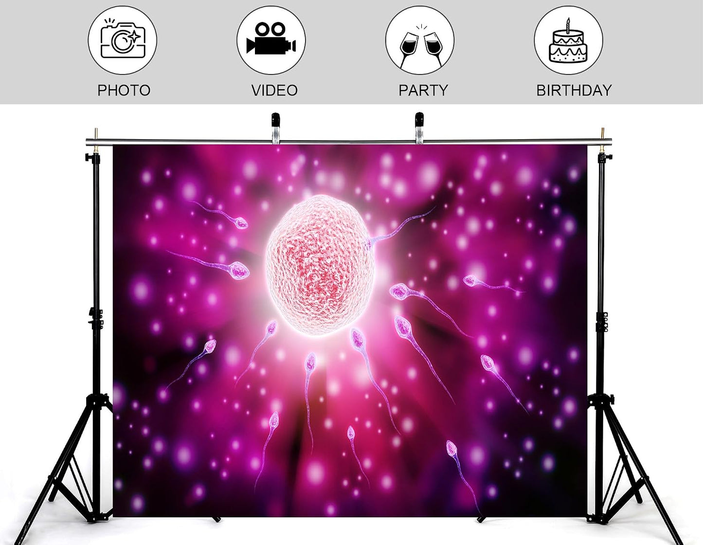 KeyWork 5x3ft Fertilization Science Illustration Backdrop Reproductive Biology Photography Background for Health Fair