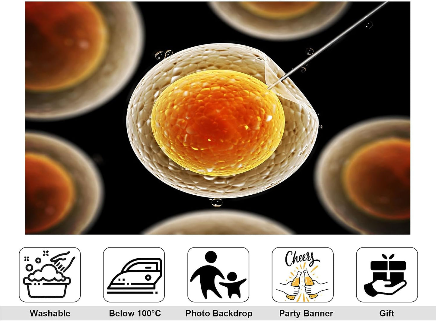 KeyWork 5x3ft Egg Cell Fertilization Backdrop Reproductive Medical Photography Background for Science Fair Health Event