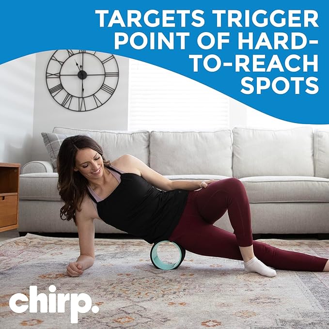 Chirp Wheel Foam Roller ??Targeted Back & Neck Relief, Lumbar Spine Stretcher, Spinal Decompression Back Stretcher, Massage Roller with Density Foam for Physical Therapy, Supports 500lbs, 6-Inch Mint