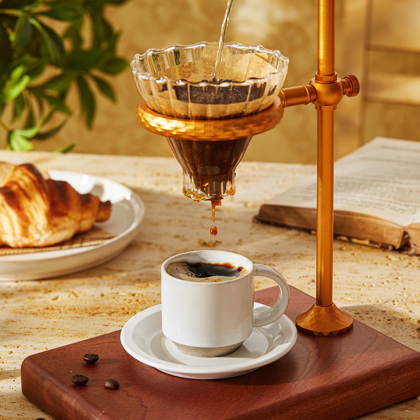 Giroflier Oak Espresso Cups Set of 4, 3 oz Demitasse Cups, Modern Style, Microwave & Dishwasher Safe (Snow)