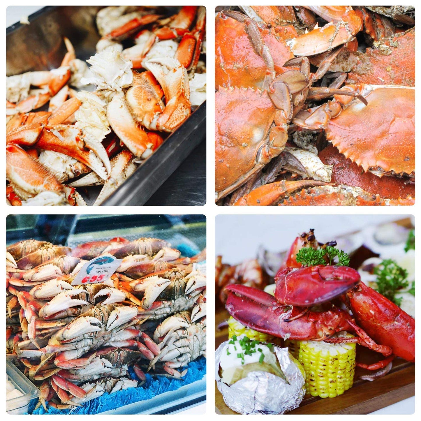 20 Pcs Seafood Tools Set - Crab Lobster Crackers Stainless Steel Forks Opener Shellfish Lobster Crab Leg Sheller Seafood Scissors,2Set