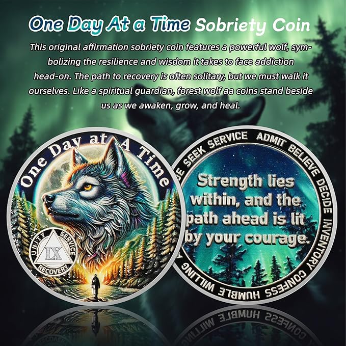 One Day at a Time 9 Year Sobriety Coin - Recovery Aurora Forest Wolf AA Coins - Addiction NA AA Chips and Medallions - Celebrate 1-20 Living Clean Narcotics Alcoholics Anonymous Gifts for Men Women