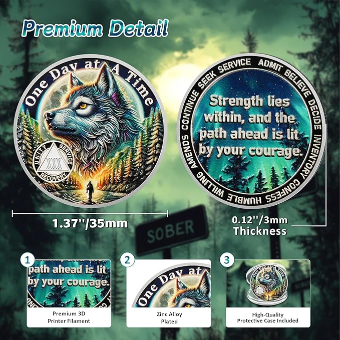 One Day at a Time 30 Year Sobriety Coin - Recovery Aurora Forest Wolf AA Coins - Addiction NA AA Chips and Medallions - Celebrate 1-30 Living Clean Narcotics Alcoholics Anonymous Gifts for Men Women