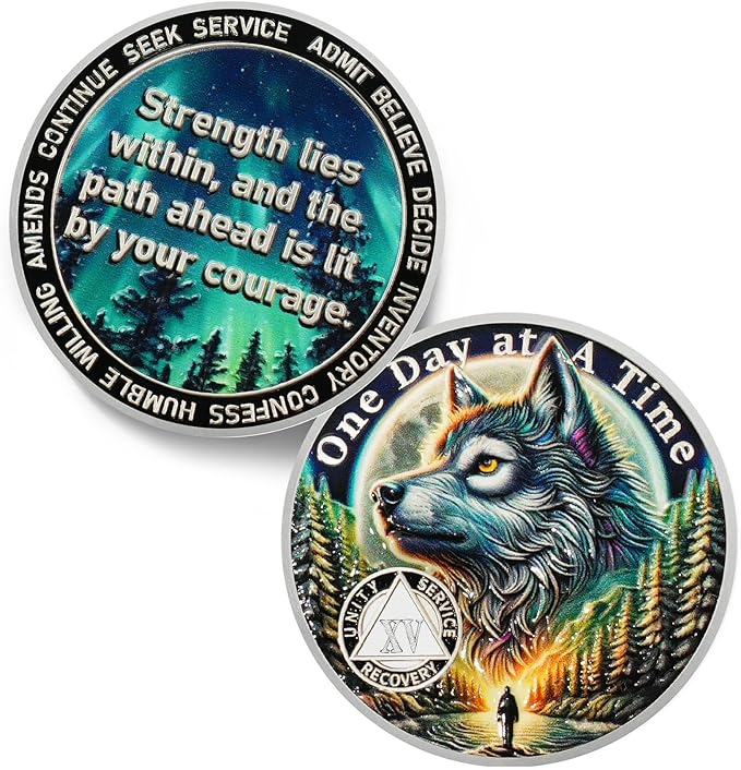 One Day at a Time 15 Year Sobriety Coin - Recovery Aurora Forest Wolf AA Coins - Addiction NA AA Chips and Medallions - Celebrate 1-30 Living Clean Narcotics Alcoholics Anonymous Gifts for Men Women