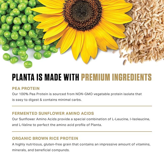 Ambrosia Planta - Premium Plant-Based Protein | Vegan & Keto Friendly | Gourmet Flavors with No Bloating or Stomach Upset | Gluten & Soy Free | No Added Sugar | 25 Servings | Vanilla