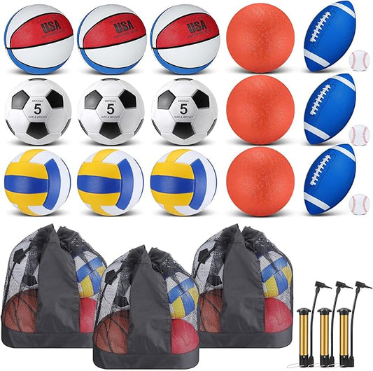 Leyndo 18 Pcs Sport Balls Bulk Set Basketball Football Volleyball Soccer Playground Baseball with Sport Equipment Bag Pump for Outdoor Indoor Practice Gift
