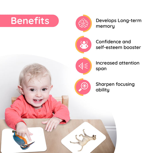 Hungry Brain High Contrast Baby Flashcards – 240 Black & White Cards for Newborns (0-12 Months) – 120 Word + 128 Thinking Stimulation Cards with 4 Story Books – Infant Learning & Gift Set