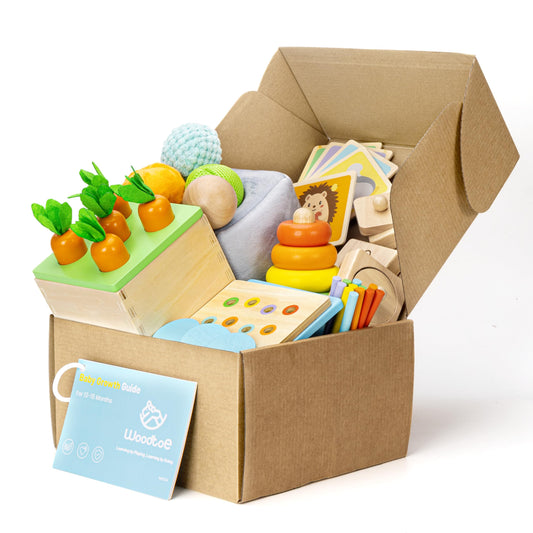 Woodtoe Montessori Toys for 1+ Year Old, Wooden Baby Learning Toys, Object Permanence Box, Color Sorting Sensory Toy, Fine Motor Skills Game, Educational Birthday Toys for Boy Girl 1 2 3 Year Old